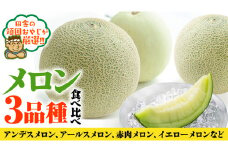 メロン 食べ比べ セット【7月発送開始】田舎の頑固おやじが厳選！ メロン ギフト 高糖度  甘い 美味しいフルーツ