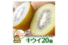 田舎の頑固おやじが厳選！キウイ20個【令和4年1月から順次お届け】