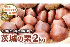茨城の栗2kg【9月より発送開始】田舎の頑固おやじが厳選！