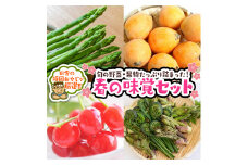 春の味覚（野菜・果物）厳選セット【令和5年4月より発送開始】田舎の頑固おやじが厳選！