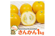 田舎の頑固おやじが厳選！きんかん1kg【令和4年1月から順次お届け】
