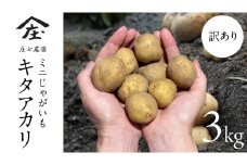 【訳あり】ミニ ジャガイモ ( キタアカリ )  3kg 田んぼで作ったころころジャガイモ 新じゃが じゃがいも ジャガイモ 北あかり 芋 大容量 家庭用 小粒 野菜 根菜 産地直送 新鮮 5000円