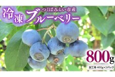 つくばみらい市 産 冷凍 ブルーベリー 800g ( 400g ×2パック ) 国産 農薬無使用 自家農場 果物 就労継続支援 フルーツ おいしい 冷凍ブルーベリー フリーズ