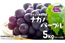 ナガノパープル 5kg （8～12房）【2025年9月より発送開始】（茨城県共通返礼品 [ぶどう]：結城市産） 葡萄 黒ぶどう 旬 お取り寄せ フルーツ 希少品種 デザート