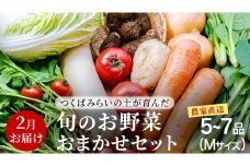 農家直送 旬のお野菜 おまかせセット 【2026年2月お届け】 Mサイズ（5~7品） 野菜セット 野菜 旬 詰め合わせ やさい おまかせ 自然 春野菜 夏野菜 セット 季節 新鮮 旬 農家直送