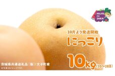 にっこり 梨 10kg （14～28玉）【2025年10月より発送開始】（茨城県共通返礼品 [梨]：大子町産） なし 旬 お取り寄せ フルーツ 甘い ジューシー 和梨 時期