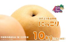 にっこり 梨 10kg （16～20玉）【2025年10月より発送開始】（茨城県共通返礼品 [梨]：大子町産） なし 旬 お取り寄せ フルーツ 甘い ジューシー 和梨 時期
