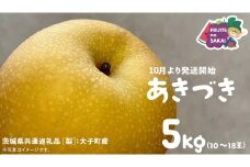 あきづき 梨 5kg （10～18玉）【2025年10月より発送開始】（茨城県共通返礼品 [梨]：大子町産） なし 旬 お取り寄せ フルーツ 甘い ジューシー 和梨 時期 秋月