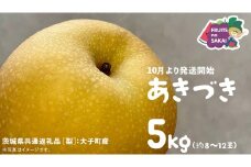 あきづき 梨 5kg （8～12玉）【2025年10月より発送開始】（茨城県共通返礼品 [梨]：大子町産） なし 旬 お取り寄せ フルーツ 甘い ジューシー 和梨 時期 秋月