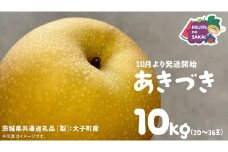 あきづき 梨 10kg （20～36玉）【2025年10月より発送開始】（茨城県共通返礼品 [梨]：大子町産） なし 旬 お取り寄せ フルーツ 甘い ジューシー 和梨 時期 秋月
