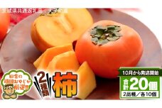 柿 2種 セット 【10月から発送開始】 （茨城県共通返礼品：大子町産） 田舎の頑固おやじが厳選！ フルーツ 果物 美味しい