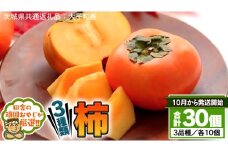 柿 3種 セット 【10月から発送開始】 （茨城県共通返礼品 [柿]：大子町産） 田舎の頑固おやじが厳選！ 田舎の頑固おやじが厳選！ フルーツ 果物 美味しい