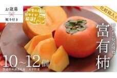 【 お歳暮 熨斗付 】【 化粧箱入り 】 富有柿 10～12個 【12月から発送開始】（茨城県共通返礼品 [柿]：大子町産） 柿 富有柿 果物 フルーツ 季節 旬