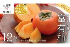 【 お歳暮 熨斗付 】【 桐箱入り 】富有柿 12個 【12月から発送開始】（茨城県共通返礼品 [柿]：大子町産） 柿 富有柿 果物 フルーツ 季節 旬
