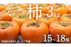 柿 3kg（15〜18個）【10月より発送開始】（茨城県共通返礼品 [柿]：大子町産） 柿 かき カキ 果物 フルーツ 茨城県産