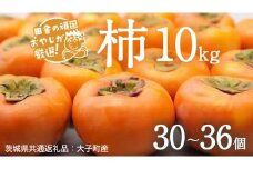 柿 10kg（30〜36個）【10月より発送開始】（茨城県共通返礼品 [柿]：大子町産） 柿 かき カキ 果物 フルーツ 茨城県産