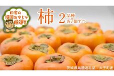 柿　2品種 食べ比べ 各7個ずつ【10月中旬より発送開始】（茨城県共通返礼品 [柿]：大子町産） 果物 フルーツ 茨城県産