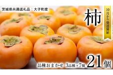柿　3品種 食べ比べ 各7個ずつ【10月中旬より発送開始】（茨城県共通返礼品 [柿]：大子町産） 果物 フルーツ 茨城県産