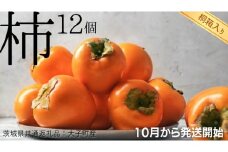 【 桐箱入り 】 柿 12個 【10月から発送開始】（茨城県共通返礼品 [柿]：大子町産） フルーツ 果物 季節 秋 ギフト 桐箱 プレゼント 贈答