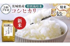 ＜ 新米 ＞ 令和7年産 茨城県産 精米 特別栽培米 コシヒカリ 5kg （5kg×1袋） 白米 こしひかり 米 コメ こめ 単一米 限定 茨城県産 国産 美味しい お米 おこめ おコメ