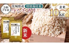 ＜ 新米 ＞ 令和7年産 茨城県産 玄米 特別栽培米 コシヒカリ 10kg （5kg×2袋） こしひかり 米 コメ こめ 単一米 限定 茨城県産 国産 美味しい お米 おこめ おコメ