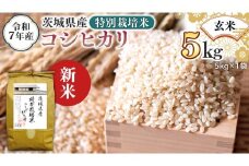 ＜ 新米 ＞ 令和7年産 茨城県産 玄米 特別栽培米 コシヒカリ 5kg （5kg×1袋） こしひかり 米 コメ こめ 単一米 限定 茨城県産 国産 美味しい お米 おこめ おコメ