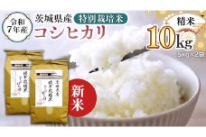 ＜ 新米 ＞ 令和7年産 茨城県産 精米 特別栽培米 コシヒカリ 10kg （5kg×2袋） 白米 こしひかり 米 コメ こめ 単一米 限定 茨城県産 国産 美味しい お米 おこめ おコメ
