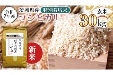 ＜ 新米 ＞ 令和7年産 茨城県産 玄米 特別栽培米 コシヒカリ 30kg （30kg×1袋） こしひかり 米 コメ こめ 単一米 限定 茨城県産 国産 美味しい お米 おこめ おコメ