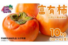 富有柿 10kg （約30～42個）【2025年11月より発送開始】（茨城県共通返礼品 [柿]：大子町産） かき 旬 お取り寄せ フルーツ 甘い 秋の味覚