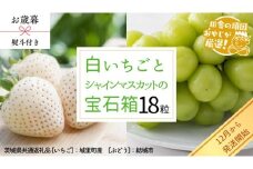 【 お歳暮 熨斗付 】 シャインマスカットと白いちごの 宝石箱 18粒【12月から発送開始】（茨城県共通返礼品 [ぶどう]：結城市産　[いちご]：城里町産） いちご 苺 イチゴ 白いちご 白イチゴ シャインマスカット マスカット 宝石箱