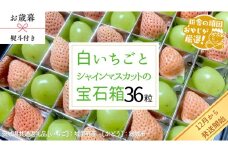 【 お歳暮 熨斗付 】シャインマスカットと白いちごの宝石箱 36粒【12月から発送開始】（茨城県共通返礼品 [ぶどう]：結城市産　[いちご]：城里町産） いちご 苺 イチゴ 白いちご 白イチゴ シャインマスカット マスカット 宝石箱