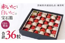 赤いちご と 白いちごの宝石箱 36粒 【12月から発送開始】（茨城県共通返礼品 [いちご]：城里町産） いちご 苺 イチゴ 白いちご 白イチゴ 宝石箱