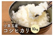 【 令和7年産 】小美玉産 コシヒカリ 10kg こしひかり 米 10キロ お米 白米 国産 ごはん おにぎり 弁当 茨城県 小美玉市 17-K
