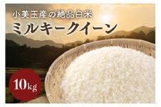 【 令和7年産 】小美玉産 ミルキークイーン 10kg みるきーくいーん 米 10キロ お米 白米 国産 ごはん おにぎり 弁当 茨城県 小美玉市 17-J