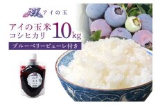 【数量限定・期間限定】 アイの玉米 コシヒカリ10kg ブルーベリーピューレ付き 令和6年産 新米 こしひかり コシヒカリ 米 白米 ブルーベリー ピューレ フルーツ 果物 くだもの 手作り お弁当 おにぎり 茨城県産 73-I