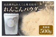 レンコンパウダー500g Bigれんこん珠美 業務用 れんこんパウダー レンコン パウダー 粉末 れんこん 粉 蓮根 美容 健康 茨城 国産 77-J