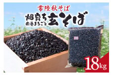 常陸秋そば 畑育ち 栄養まるごと 玄そば 18kg そば 蕎麦 ソバ ブランド 健康 美容 グルテンフリー スーパーフード ギフト 茨城県産 国産 84-B