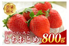 『数量限定』 ステビア栽培 朝摘み とちおとめ 800g直売 ブランド いちご 甘い 大粒 高級 ギフト 贈答用 朝摘み ステビア 苺 イチゴ 栽培 88-B
