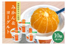まるごとみかんヨーグルト 100g×10個 ヨーグルト みかん まるごと 朝食 朝ごはん 朝活 乳製品 低糖 低カロリー ギフト 誕生日 内祝い スイーツ 腸活 善玉菌 善玉菌ケア 菌活 乳酸菌 1-R