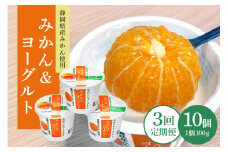 【3回定期便】まるごとみかんヨーグルト 100g×10個 ヨーグルト みかん まるごと 定期便 朝食 朝ごはん 朝活 乳製品 低糖 低カロリー ギフト 誕生日 内祝い スイーツ 腸活 善玉菌 善玉菌ケア 菌活 乳酸菌 1-T