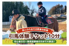 ★ROCKY★ 引馬体験チケット 10分 体験 チケット 券 引馬 馬 うま ウマ 子供 大人 初心者 経験者 歓迎 92-A