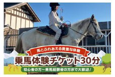 ★ROCKY★ 乗馬体験チケット 30分 体験 チケット 券 乗馬 馬 うま ウマ 子供 大人 初心者 経験者 歓迎 92-B