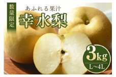 【数量限定・先行予約】 梨 幸水 3kg L～4L 7～10玉 なし ナシ 果物 フルーツ 国産 【8月10日～9月末発送予定】 70-L
