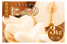 【数量限定・先行予約】 梨 にっこり 3kg 3L～6L 5～8玉 なし ナシ 果物 フルーツ 国産 【10月1日～11月末発送予定】 70-N