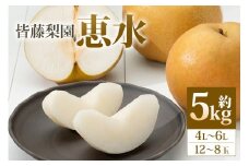 【数量限定・先行予約】【皆藤梨園】恵水（約5kg/4L～6L/12～8玉） 梨 惠水 果物 なし ナシ けいすい くだもの フルーツ 【9月上旬以降発送予定】 75-C