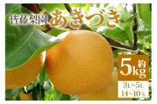 【数量限定・先行予約】【皆藤梨園】あきづき（約5kg/3L～5L/14～10玉） 梨 あきづき 果物 なし ナシ 秋月 くだもの フルーツ 【9月上旬以降発送予定】 75-D