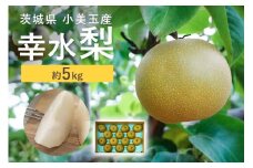 【数量限定 / 夏季限定】 梨（幸水） 約5kg 梨 なし ナシ 日本梨 こうすい コウスイ 17-C 【8月中旬～下旬発送予定】