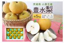 【数量限定 / 夏季限定】 梨（豊水） 約5kg 梨 なし ナシ 日本梨 ほうすい ホウスイ 17-D 【8月下旬～9月上旬発送予定】