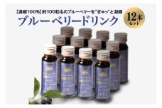 濃縮100％ブルーベリードリンク ブルーベリー ブルーベリー飲料 フルーツ 果物 フルーツジュース ジュース ビタミンE アントシアニン 栄養 目にいい 健康 美容  瞳の健康 ギフト 贈り物 茨城県産 人気 プレゼント セット ドリンク 濃厚 濃縮 9-E