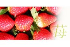 17－H　いばらキッス・とちおとめ食べ比べセット